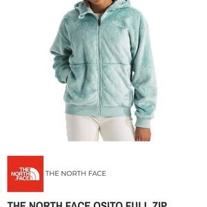 The North Face Aqua Fleece Hoodie